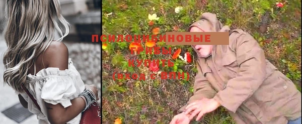 бошки Протвино