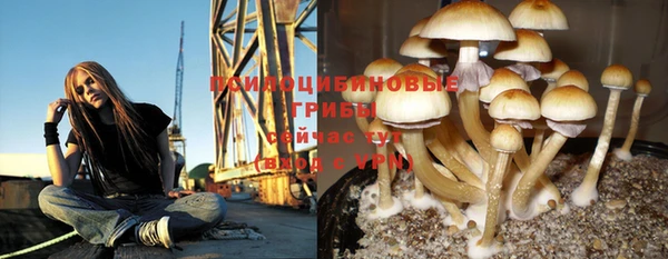 кокс Покровск