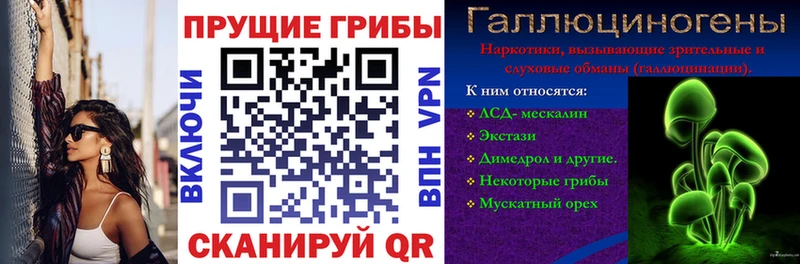 Псилоцибиновые грибы MAGIC MUSHROOMS  наркотики  Красный Холм 